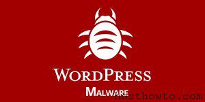 Read more about the article How To Remove Malware From WordPress Website